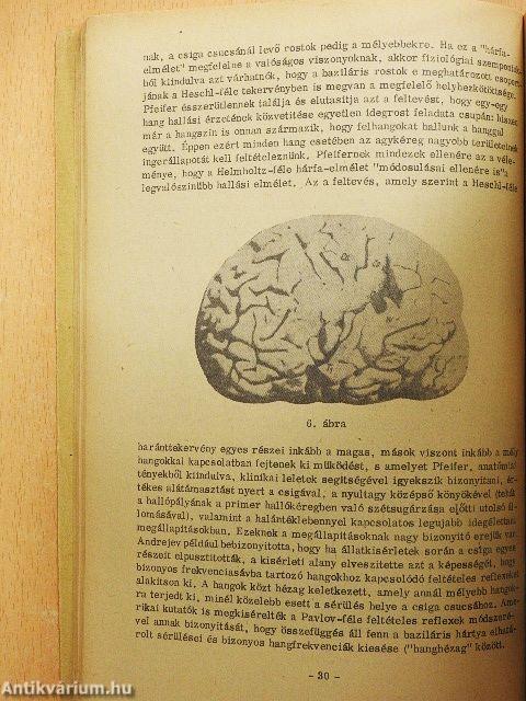 Általános- és zenepszichológiai szöveggyűjtemény