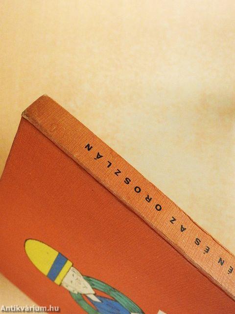 Én és az oroszlán