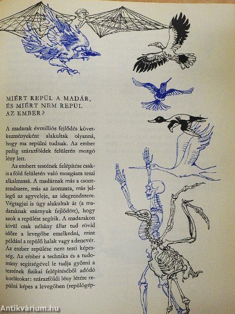 Kérdezz! Felelek mindenre