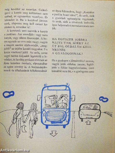 Kérdezz! Felelek mindenre