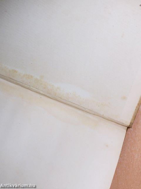 Mindennapi történetek