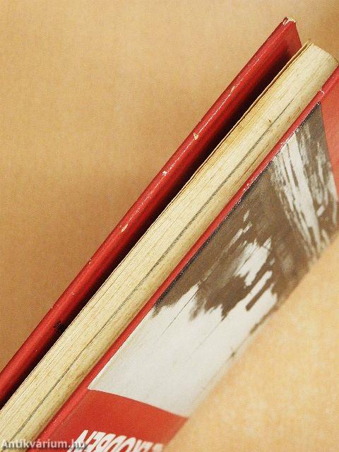 Lázadás az erődben