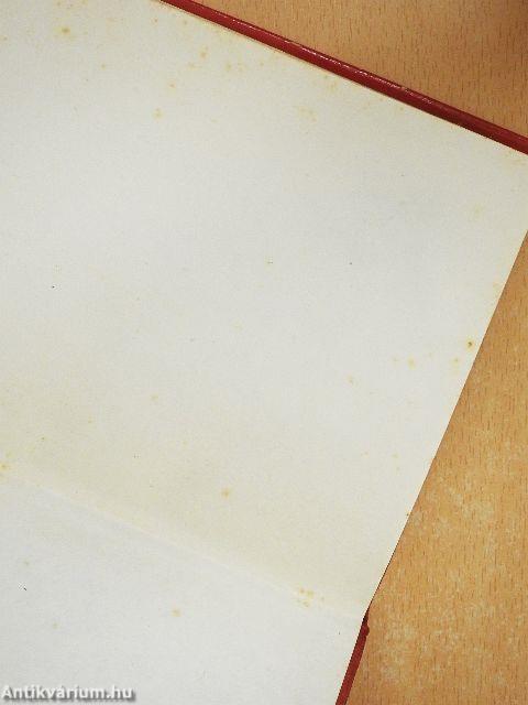 Lázadás az erődben