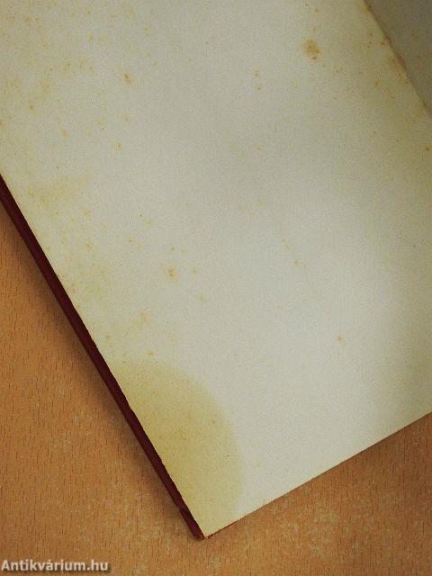 Lázadás az erődben