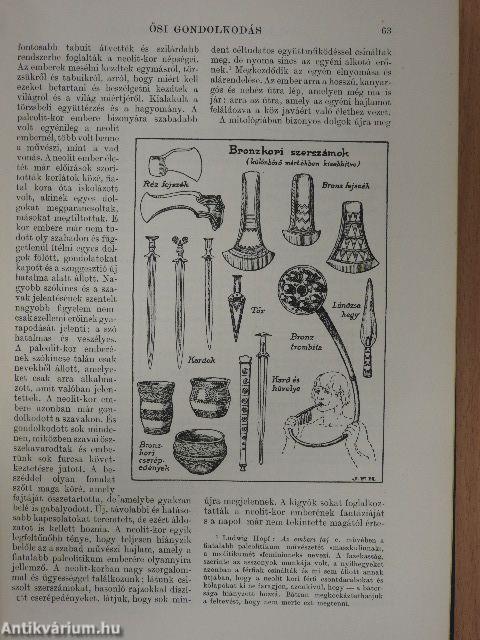 A világtörténet alapvonalai