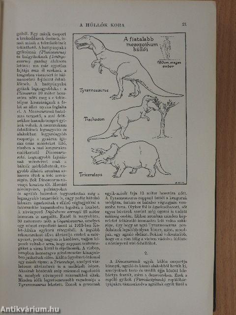 A világtörténet alapvonalai