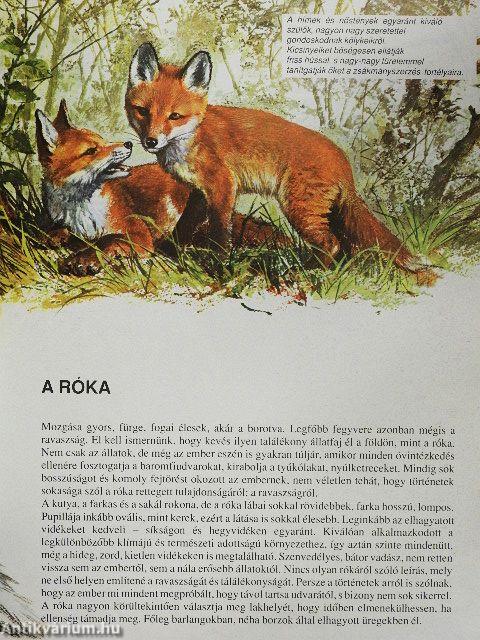 A bozótosok és pagonyok állatai