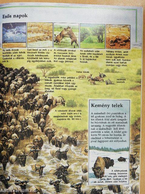 A puszták vadvilága