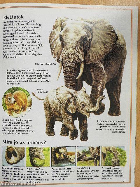 A puszták vadvilága