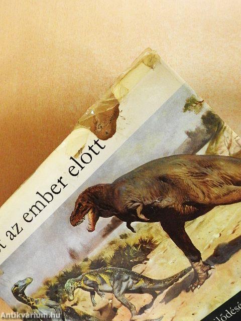 Élet az ember előtt