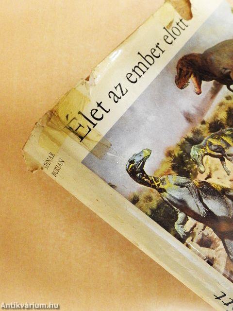 Élet az ember előtt