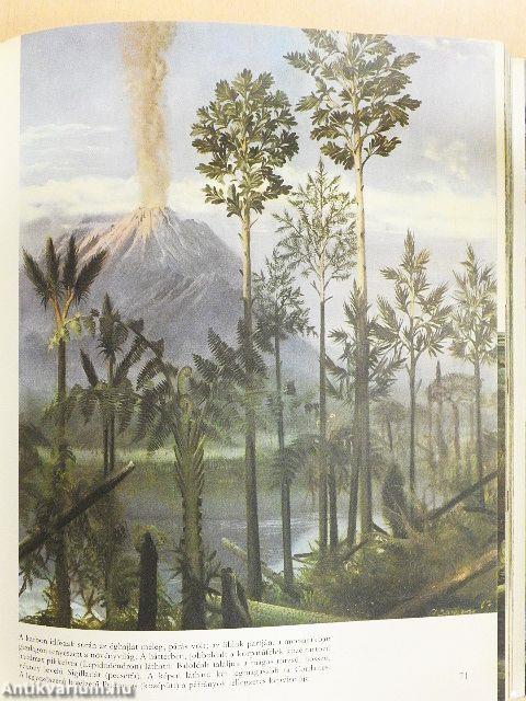 Élet az ember előtt