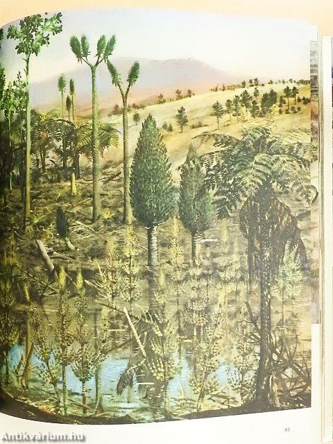 Élet az ember előtt