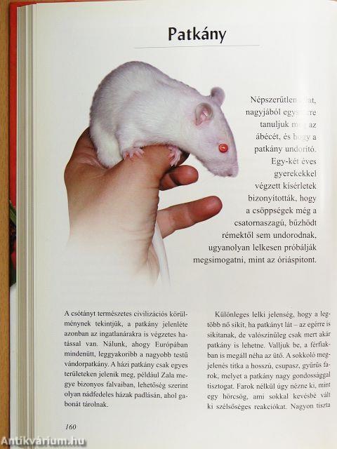 Nagyvárosi természetbúvár