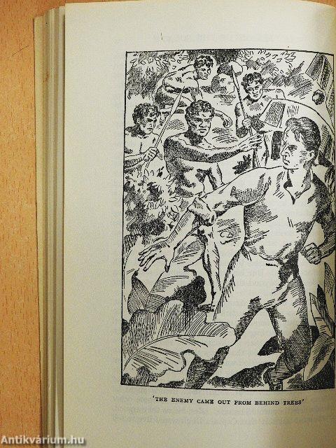 The Tale of the Bounty