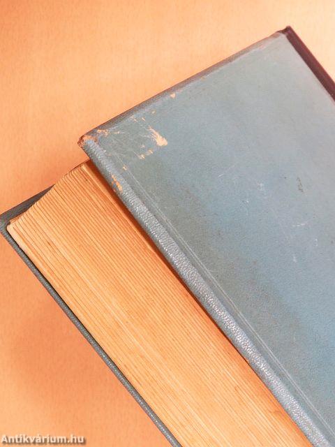 A boldogságos Szűz Mária élete, tisztelete, szenthelyei, legendái