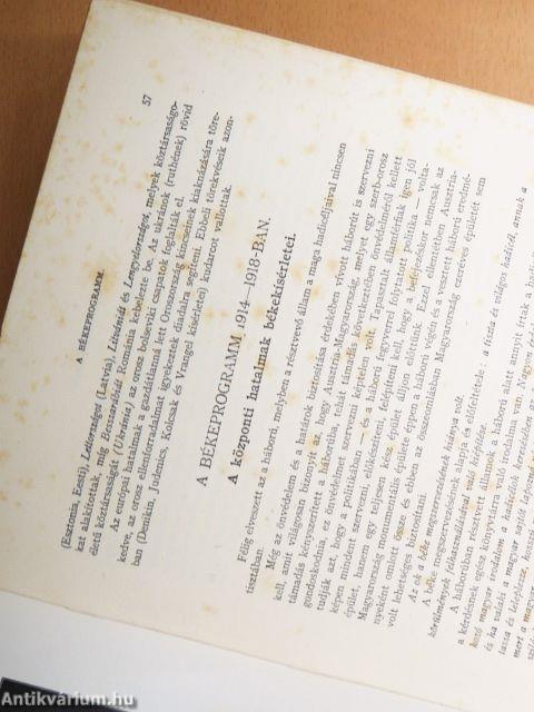 A világháború története