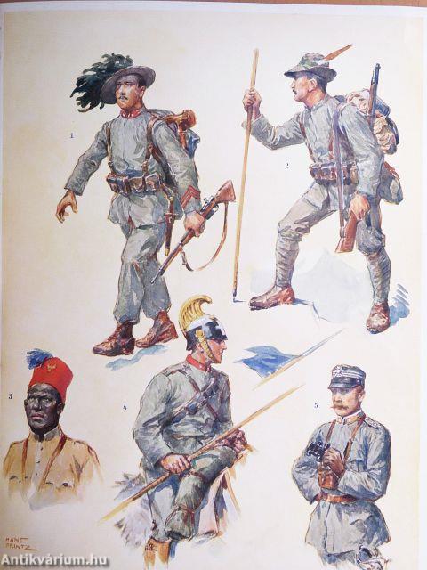 A világháború története