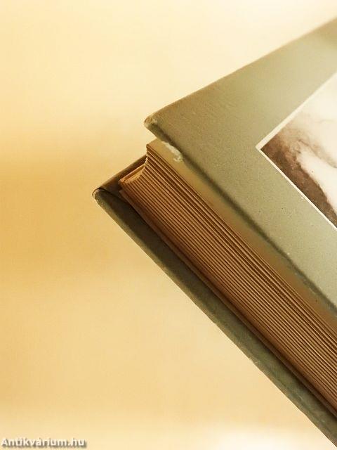 A budavári főtemplom