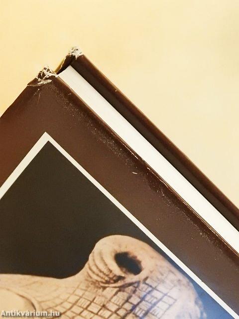 A vikingek öröksége