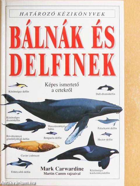 Bálnák és delfinek