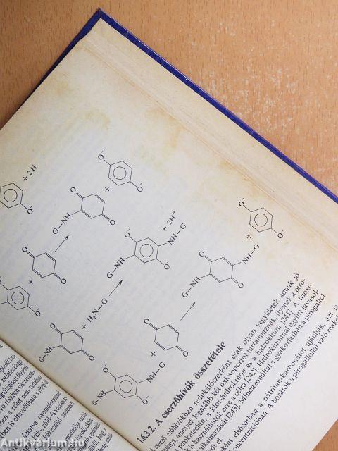 Fotoanyagok kidolgozása