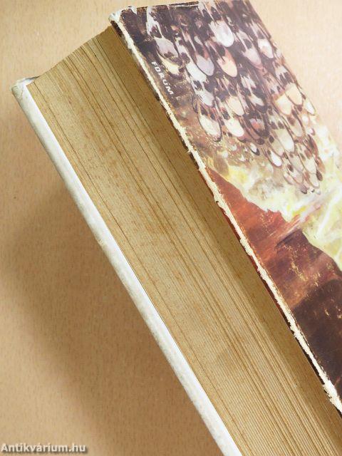 A Musza Dag negyven napja