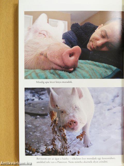 Esther, a csodamalac