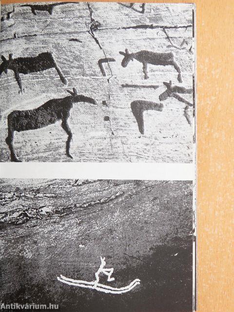 Északi sziklarajzok