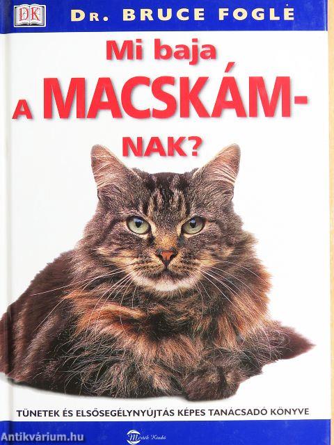 Mi baja a macskámnak?