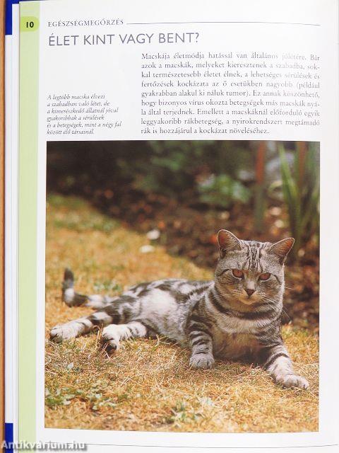 Mi baja a macskámnak?