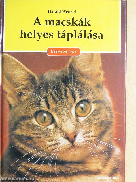 A macskák helyes táplálása