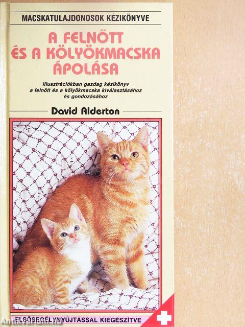 A felnőtt és a kölyökmacska ápolása