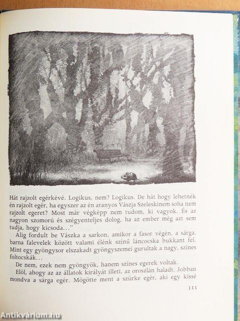 A varázsló tanítványa