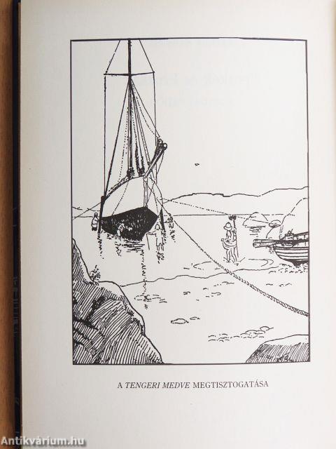 Fecskék és Fruskák - A madárvédők