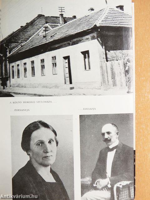 Napló, levelek, cikkek