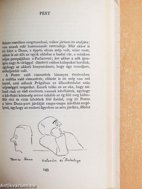 Az irodalom margójára