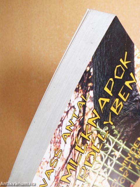 Emléknapok Erdélyben III.