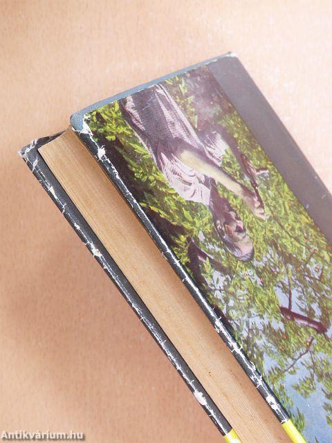 A gyümölcsfák ápolása