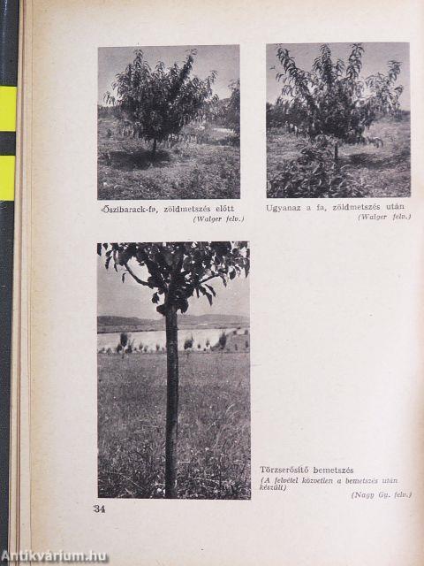 A gyümölcsfák ápolása