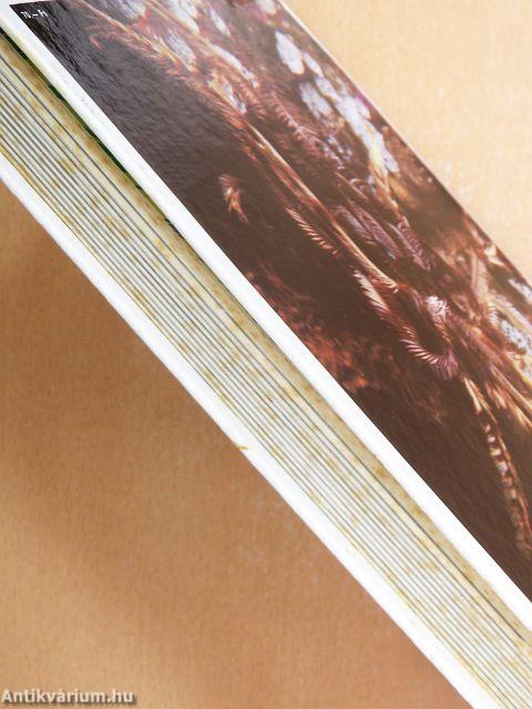 Érintetlen mélységekben