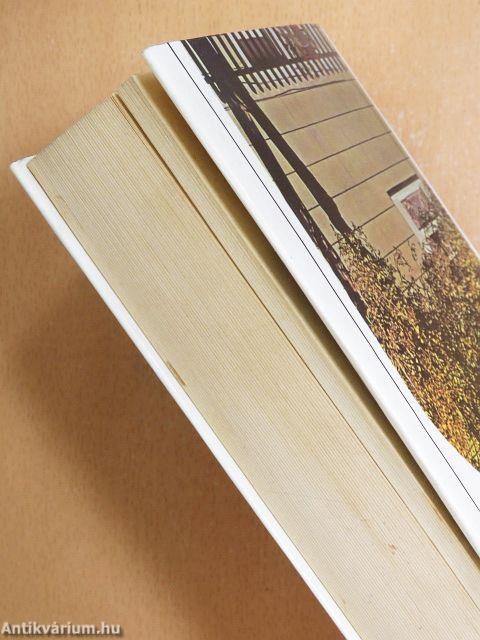 Gazdag ember, szegény ember