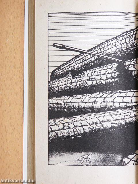 Az országút harcosa