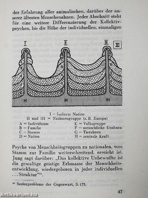 Die Psychologie von C. G. Jung