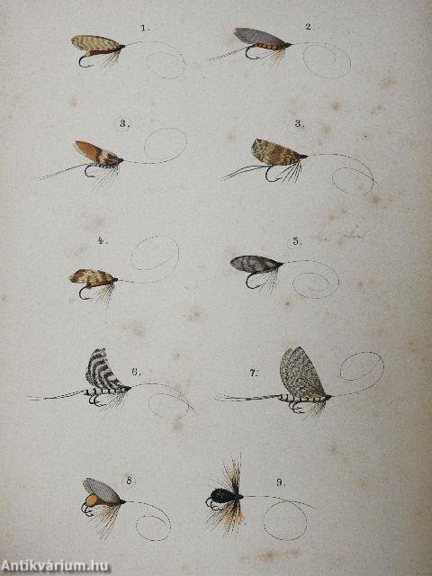 Anleitung zur Angelfischerei (gótbetűs)