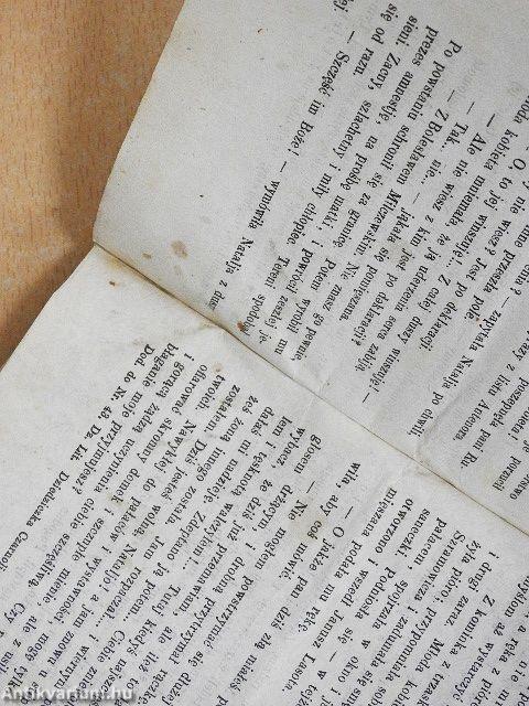 Dziedziczka czarnolic