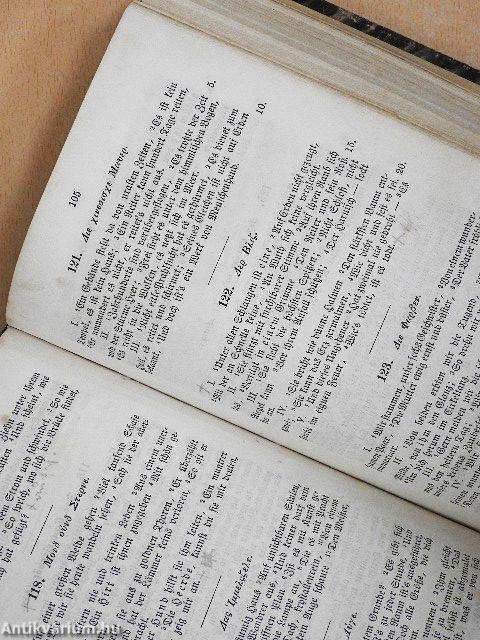 Deutsches lesebuch I. (gótbetűs)