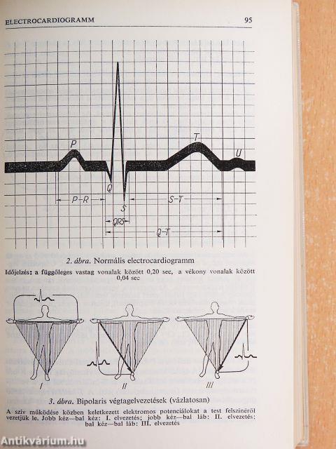 A gyakorló orvos enciklopédiája I. (töredék)