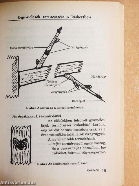 Gyümölcsök termesztése a kiskertben
