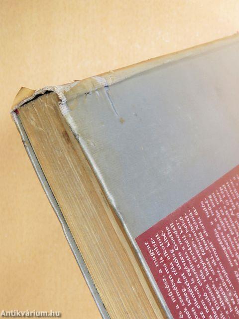 Az ismeretlen Goethe